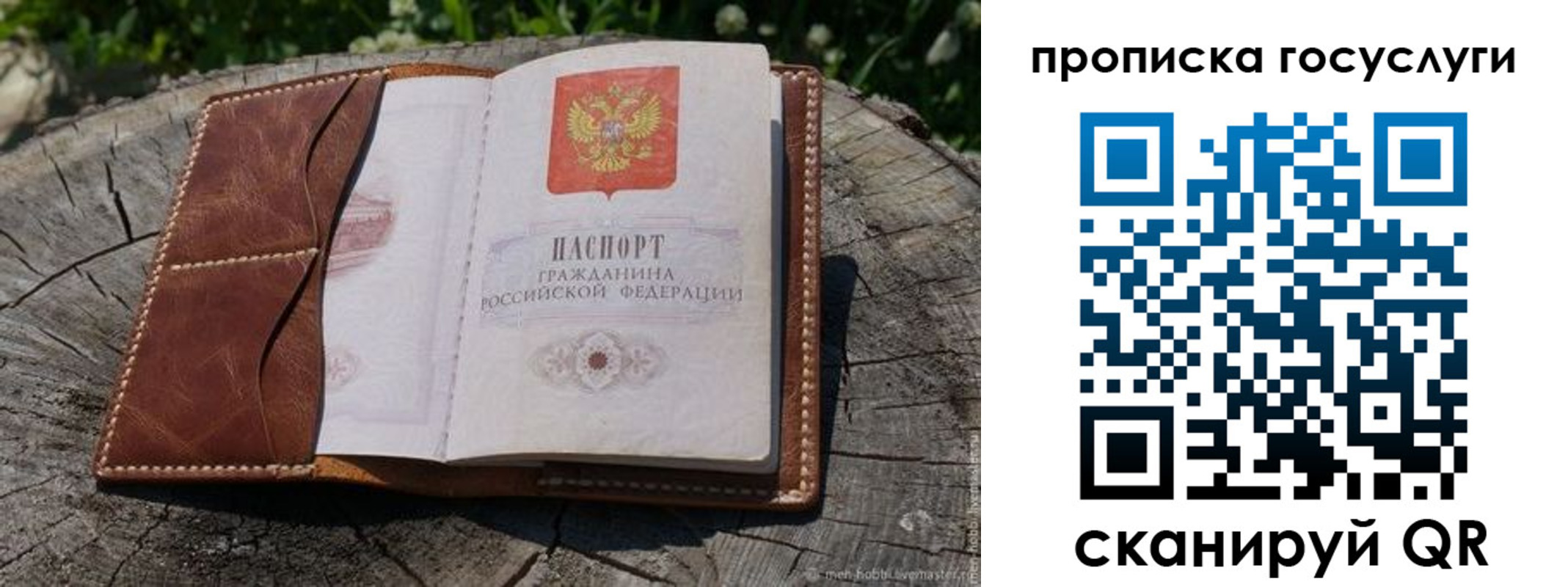 прописка для школы в Закаменске